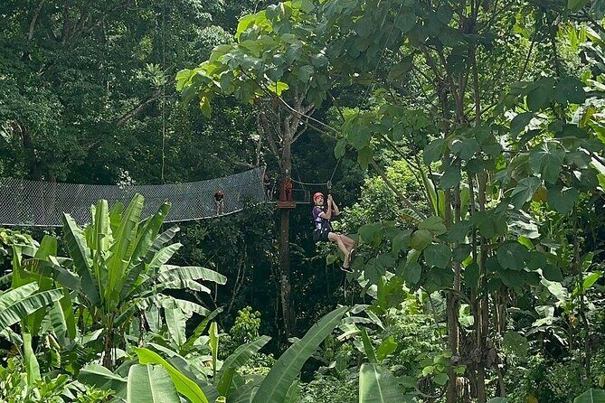 7 Hour Sticky Waterfall and Zipline Adventure - A Full Breakdown of the Tour Experience