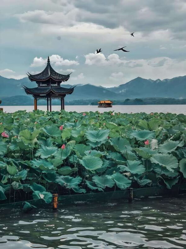 7 hours Hangzhou Tour Itinerary - Exploring West Lake – The Heart of Hangzhou