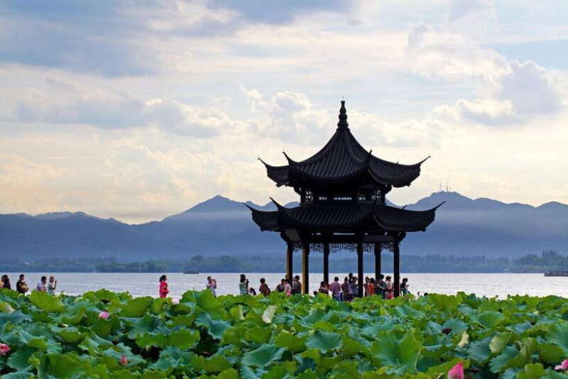 7 hours Hangzhou Tour Itinerary - The Tea Museum – A Sip of Tradition