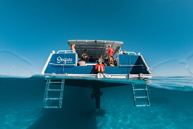 7 Hours Off Peak Whale Shark and Ningaloo Reef Tour in Exmouth - The Sum Up