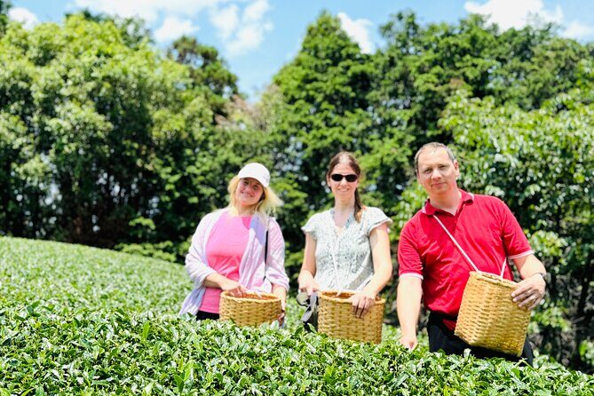 7 Hours Private Guided Tour Uji and Wazuka Matcha Farm - Exploring Uji and Wazuka: The Itinerary in Detail