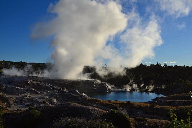 7 Hours Te Puia Rotorua Tour from Tauranga with Concert - Exploring the 7-Hour Te Puia Rotorua Tour from Tauranga: An Honest Look
