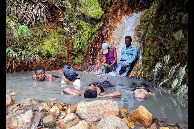 7 Hours Wildlife Discovery Tour in Dominica - FAQ