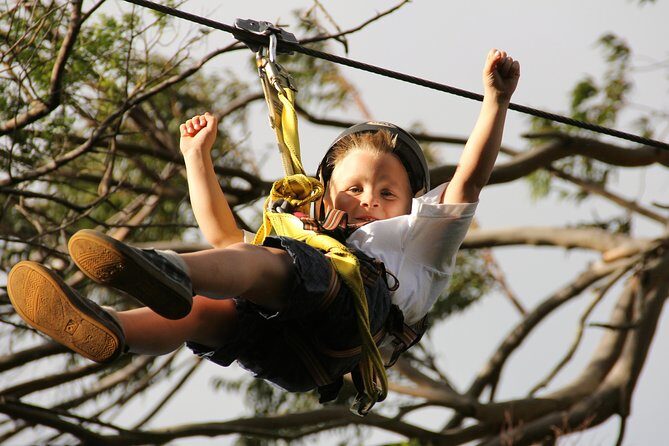 7-Line Maui Zipline on the North Shore - The Highlights and Challenges
