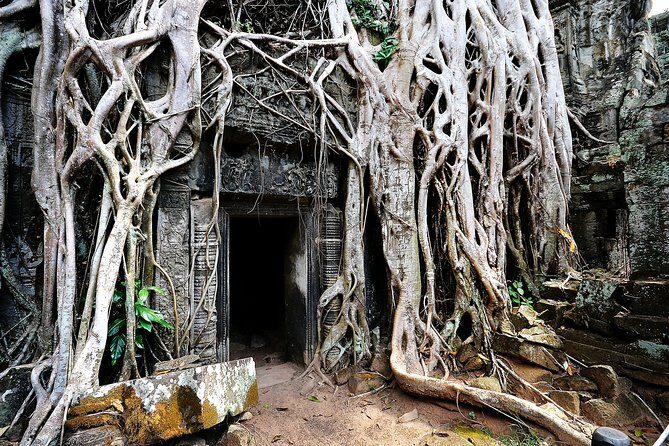 7-must See Temples in Angkor Park (Private Guided Tour) - The Sum Up