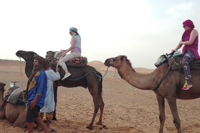 7 Night Sahara Caravan Road - What’s the Value? Breaking Down the Cost
