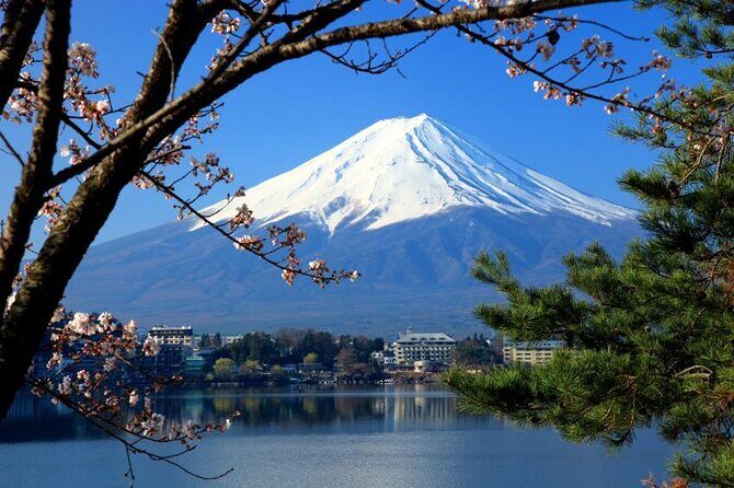 75 mins Tokyo-Mt.Fuji Tour: Mt. Fuji Helicopter Tour - Jumping Into the Tokyo-Mt. Fuji Helicopter Tour