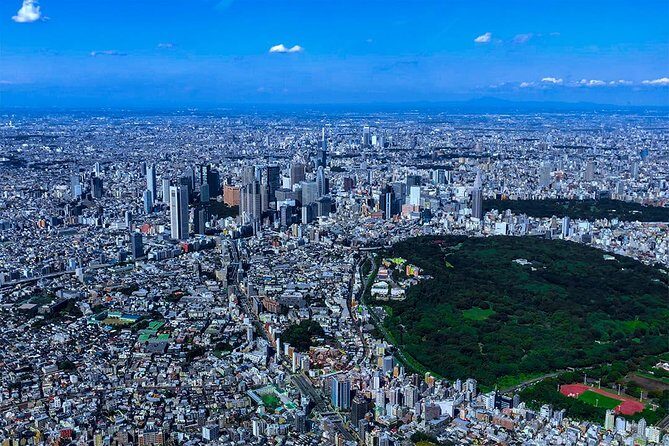 75 mins Tokyo-Mt.Fuji Tour: Mt. Fuji Helicopter Tour - The Sum Up