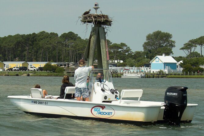 75 Minute Private Party Back Bay Sunset Cruise in Ocean City, MD - What to Expect from the 75-Minute Sunset Cruise