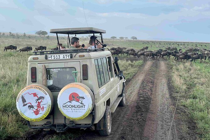 7Day Serengeti Migration (Ndutu), Crater, Hot Springs & City Tour - The Detailed Journey: What You Can Expect