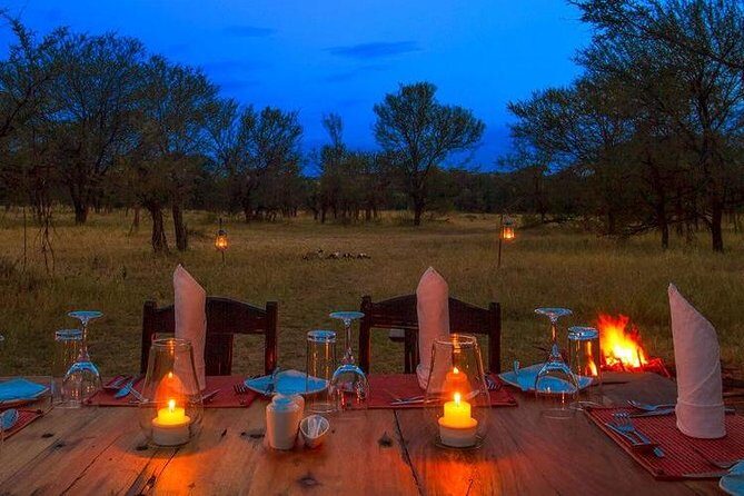 7Day Serengeti Migration (Ndutu), Crater, Hot Springs & City Tour - Final Thoughts: Who Would Love This Tour?