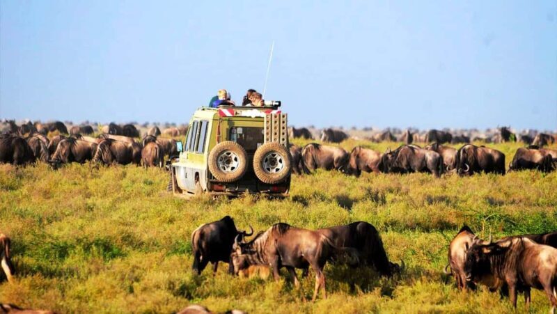 7Days Lake Nakuru Masai Mara Serengeti & Ngorongoro Safari - What Real Travelers Say