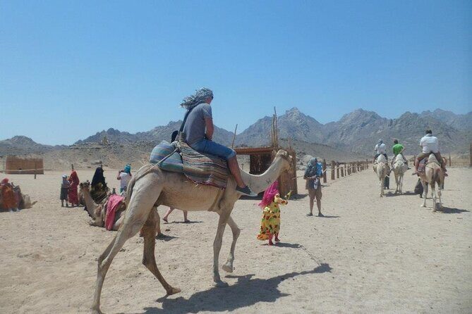 7x1Mega Safari Sharm El Sheikh - The Value of the Experience