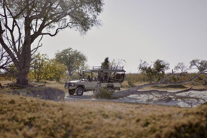8 Day Chobe NP, Elephant Sands, Okavango Delta & Victoria Falls - A Practical Breakdown of the Itinerary