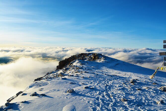 8 Day Climbing Kilimanjaro Via Lemosho Route - Analyzing the Cost and Value