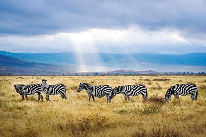 8-Day Essence of Tanzania Safari - Luxury - FAQ