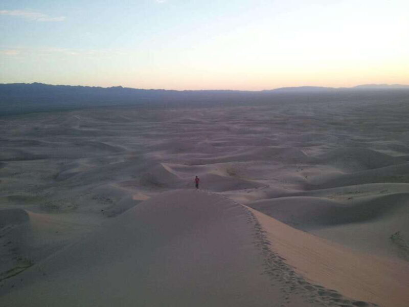 8 DAY GOBI AND CENTRAL MONGOLIA - The Itinerary in Detail