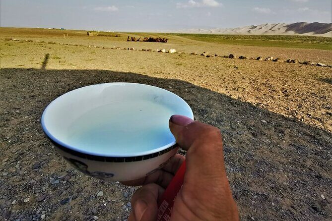 8 Day Great Gobi and Central Mongolia - The Sum Up