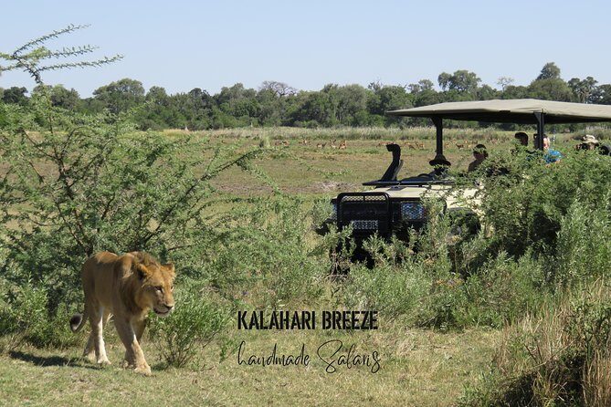 8 Day Highlights Of Botswana & Victoria Falls Overland Tour - The Sum Up