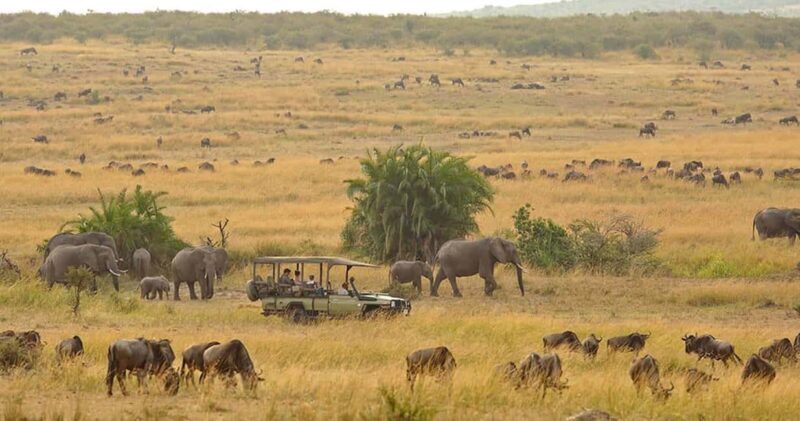 8-Day Kenya Safari: Samburu, Amboseli, Mara & More - Authentic Experiences and Guide Expertise