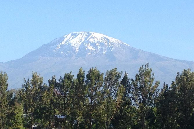 8-Day Kilimanjaro Adventure-Lemosho Route - An In-Depth Look at the 8-Day Lemosho Route
