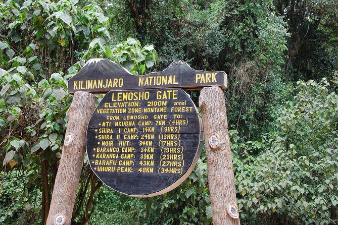 8 Day Kilimanjaro Lemosho Climb - The Route Breakdown: What You Can Expect