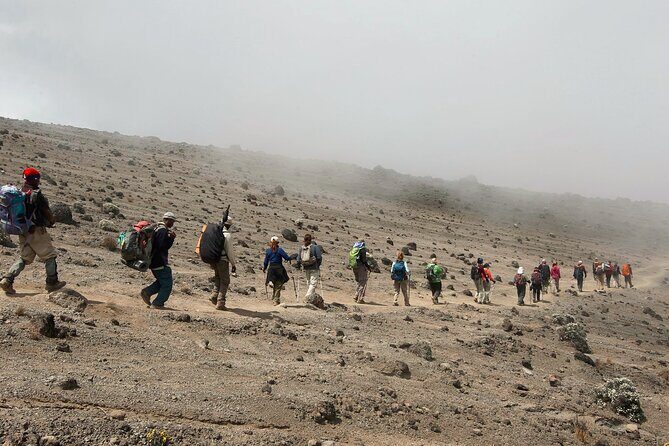 8 Day Kilimanjaro Lemosho Climb - Authentic Review Snippets