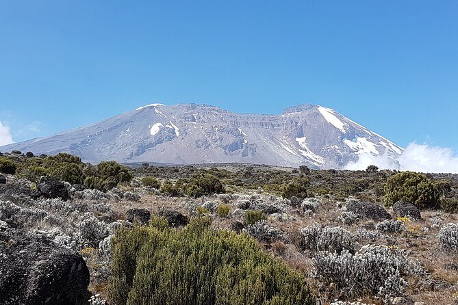8 Day Kilimanjaro Lemosho Climb - Is This Tour Right for You?