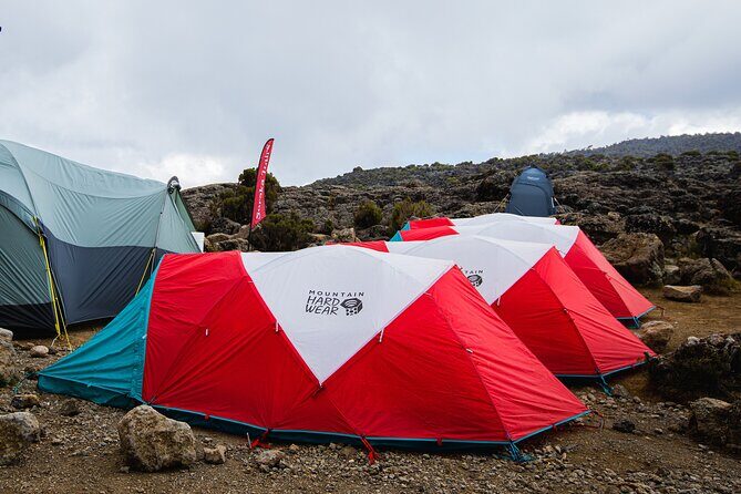 8 Day Kilimanjaro Trek via Lemosho Route - Key Points