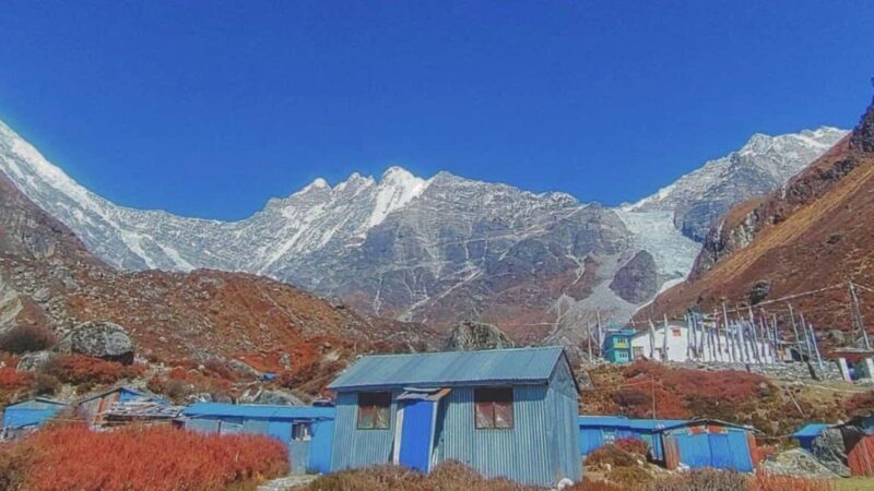 8 Day Langtang Valley Trek for Beginners - Key Points