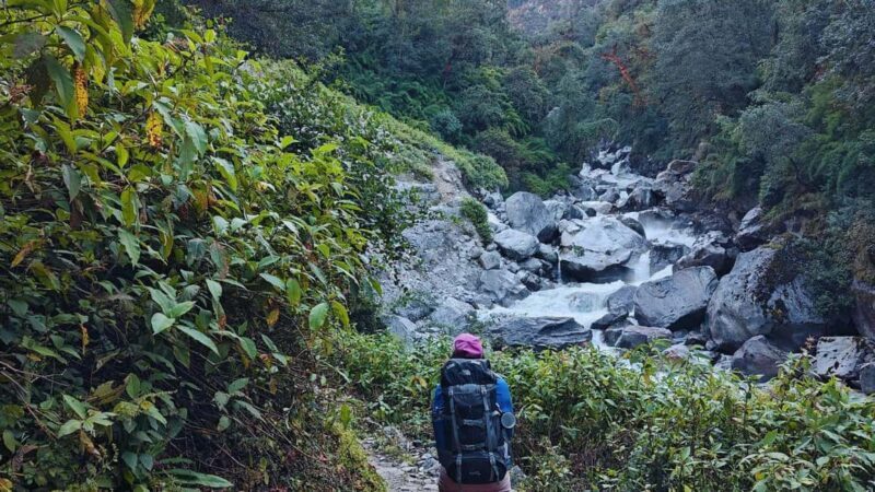8 Day Langtang Valley Trek for Beginners - What You Can Expect from the Trek