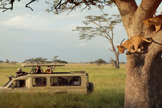 8 Day Mid Range Serengeti Wildebeests Migration - FAQ
