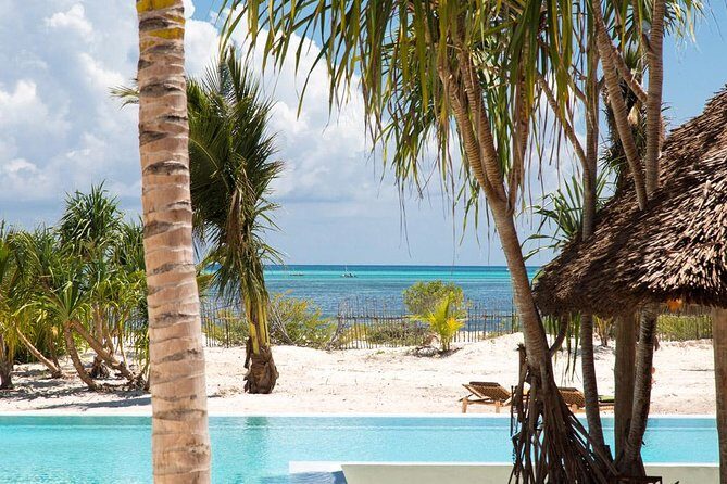 8-Day Mikumi National Park and Zanzibar Beach Holiday - Activities and Optional Adventures