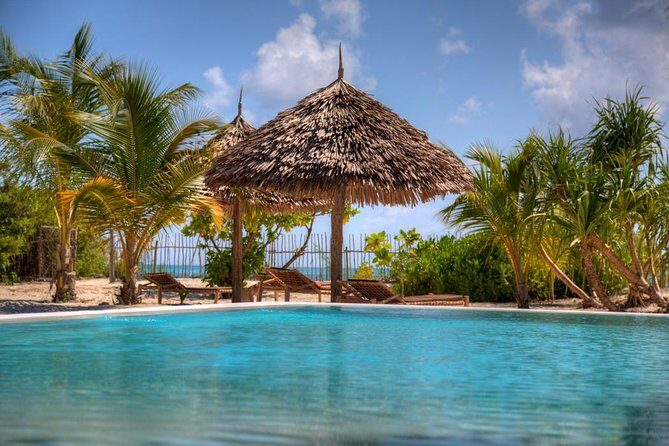 8-Day Mikumi National Park and Zanzibar Beach Holiday - Who Is This Tour Best For?