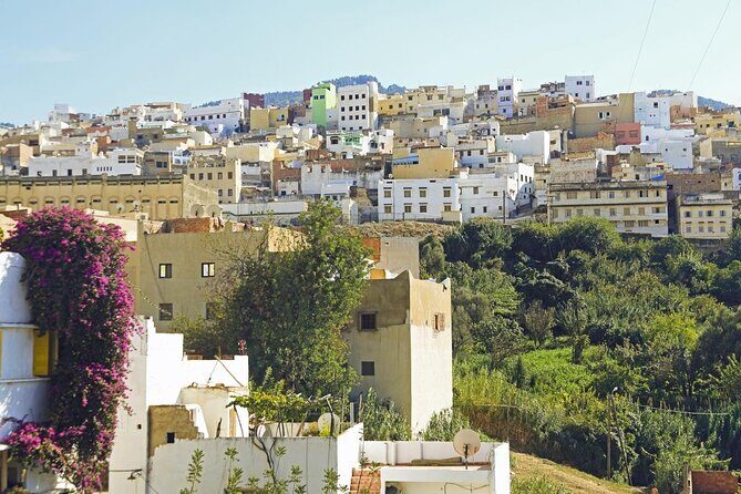 8 - Day Morocco Tour from Casablanca via Chefchaouen & Desert - Key Points
