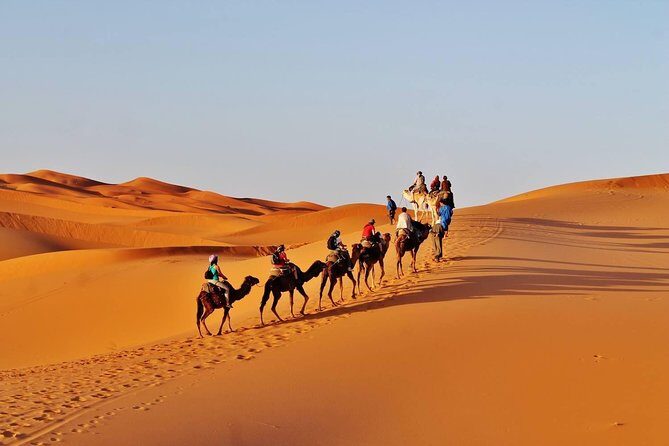 8 - Day Morocco Tour from Casablanca via Chefchaouen & Desert - Final Thoughts: Who Should Book This?