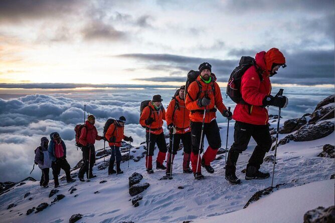 8 Day Mount Kilimanjaro Trekking Lemosho Route - Day-by-Day Breakdown of the Itinerary