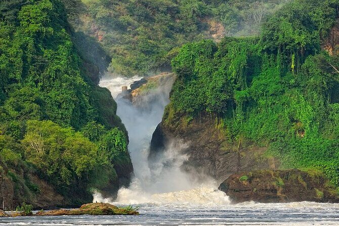 8-Day Murchison Falls, Chimp and Epic Gorilla Trekking - Why This Tour Offers Great Value