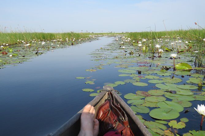 8 Day Okavango Safari - Wilderness Trail (Inner Delta & Moremi) - Who Should Consider This Safari?