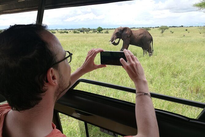 8-Day Private Guided Tanzania Safari with Pick Up - Final Words