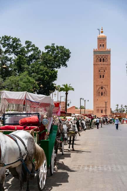 8-Day Private Moroccan Sahara Tour - Who Should Consider This Tour?