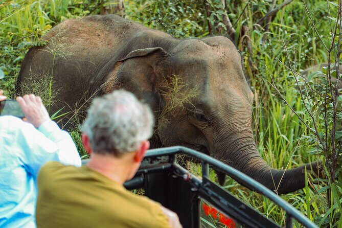 8 Day Private Sri Lanka Tour with Chauffeur - What’s Included and What’s Not