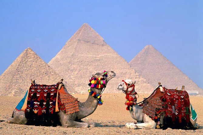 8-Day Private Tour Cairo, Aswan, Luxor and Nile Cruise Including Air Fare - Transportation and Comfort
