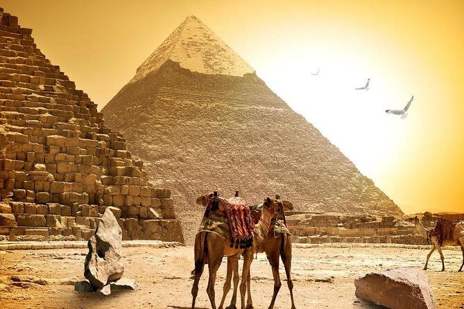 8-Day Private Tour Cairo, Aswan, Luxor and Nile Cruise Including Air Fare - Authentic Experiences and Highlights