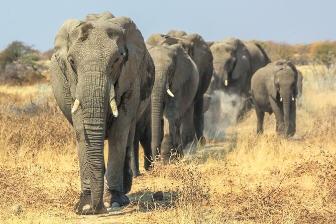 8 Day Safari The Best of Tanzania & Lake Eyasi - The Itinerary in Detail