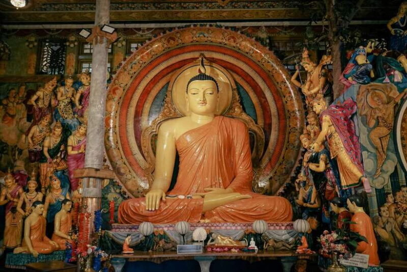 8-Day Sri Lanka Private Round Tour Hotels, Meals, Car, Guide - Who Should Consider This Tour?