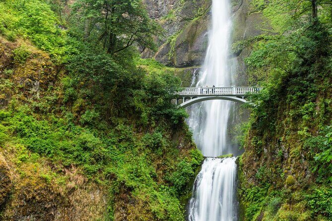 8-Day Tour from SF: Seattle Amtrak Coast Starlight Redwood - Key Points