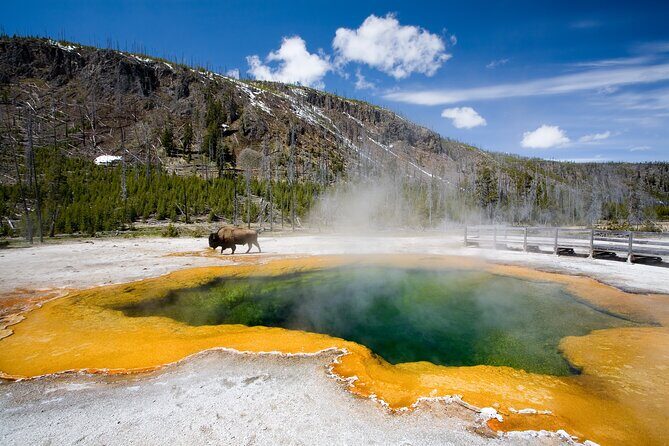 8-Day Tour in San Francisco, Yellowstone, Grand Canyon and Vegas - An In-Depth Look at the 8-Day Adventure
