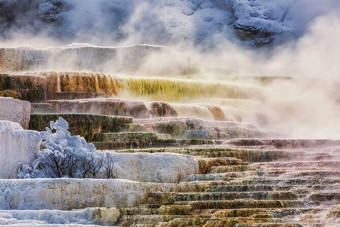 8 Day Tour Los Angeles, Las Vegas, Yellowstone and Grand Teton - Final Thoughts