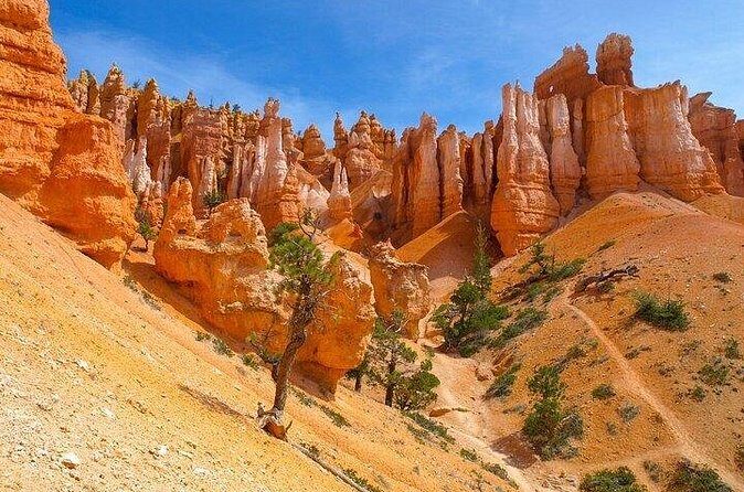 8 Day Trip Las Vegas Antelope Canyon Bryce Yellowstone - The Experience of the Hotels and Meals
